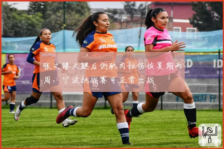 张之臻大腿后侧肌肉拉伤恢复期两周，宁波挑战赛可正常出战