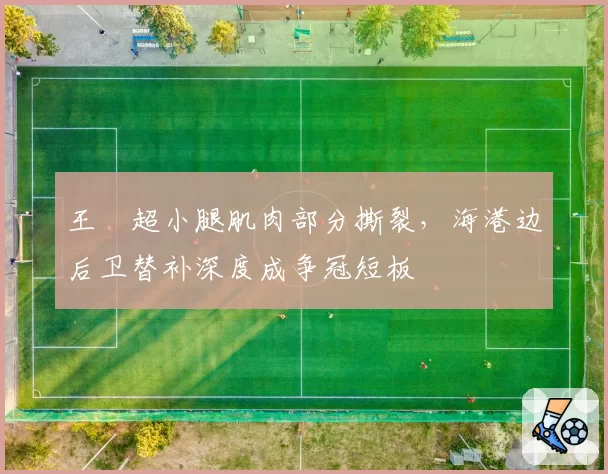 王燊超小腿肌肉部分撕裂,海港边后卫替补深度成争冠短板