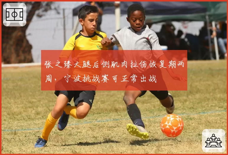 张之臻大腿后侧肌肉拉伤恢复期两周，宁波挑战赛可正常出战