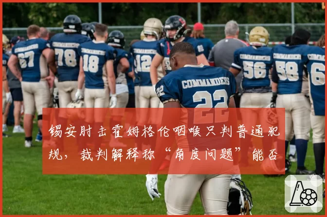 锡安肘击霍姆格伦咽喉只判普通犯规,裁判解释称“角度问题”能否服众?