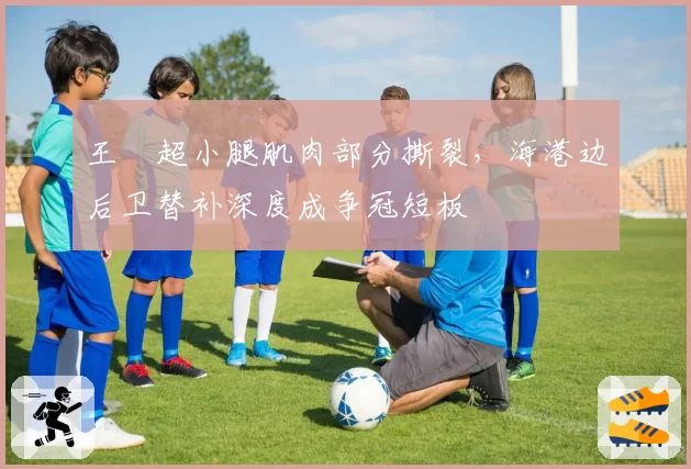 王燊超小腿肌肉部分撕裂,海港边后卫替补深度成争冠短板