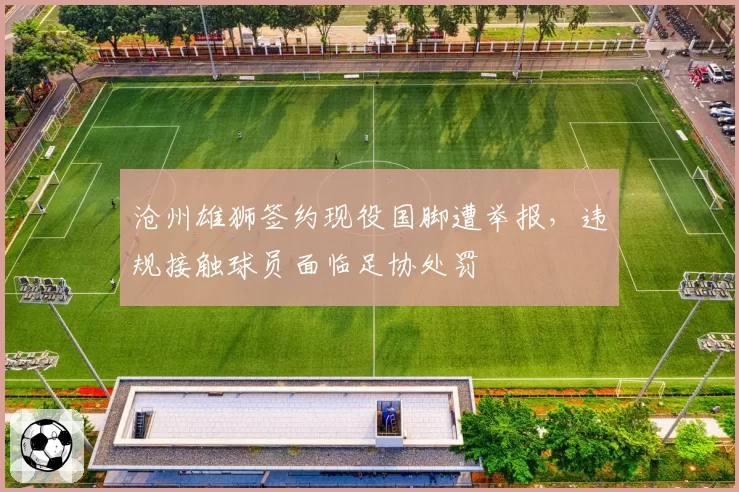 沧州雄狮签约现役国脚遭举报，违规接触球员面临足协处罚